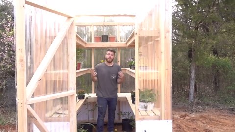 DIY 2x4 Greenhouse Anyone Can Build