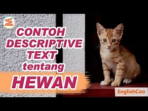 DESCRIPTIVE TEXT TENTANG HEWAN PELIHARAAN DALAM BAHASA INGGRIS | Cara Mendeskripsikan Kucing (Cat)