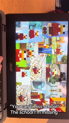 I’ve added two more slides 🥹#grian