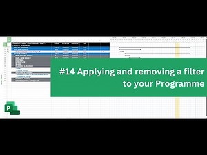 Applying and removing a filter to your Programme - MS Project quick tip #14
