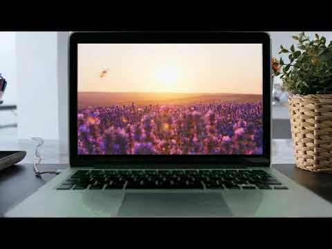 Tutorial Video - WeVideo First Experience