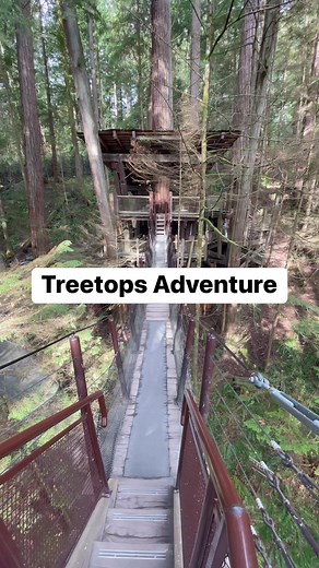 7K views · 113 reactions | Capilano Suspension Bridge Park | In The Loop | Facebook