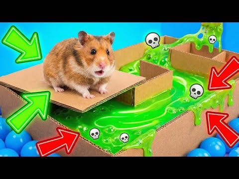 SLIME RIVER - Hamster Maze with Sticky Traps ☠️ [OBSTACLE COURSE]