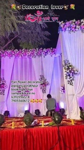 #stejprogram #stej_program #stejshow #stej_show #stej