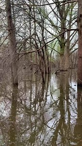 1.1M views · 7.6K reactions | We love it out here except for the mosquitoes and the snakes....#PoleSnatching | Grenada Lake Charters | Facebook