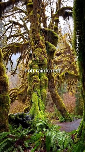Places to visit in Washington 🇺🇸🤯 #travel #adventure #explore #nature #washington