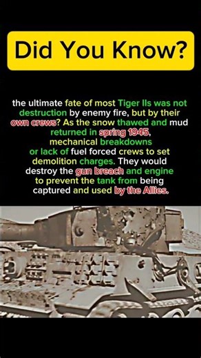 Self-Destruction: The Sad End of the Tiger IIs #history #militaryhistory #germantank #ww2 #tigertank
