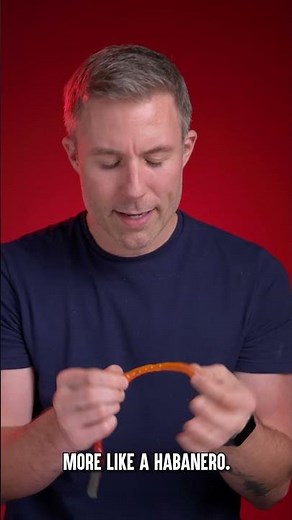 Let's Play Spicy Segments!