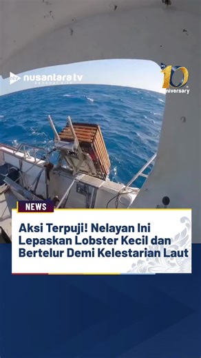 Praktik Berkelanjutan Penangkapan Lobster oleh Nelayan