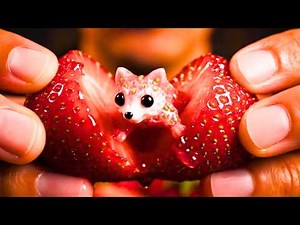 Which Fruit Animal Would You Pick? | 30 Minutes of ASMR AI Visual & Sound Relax & Sleep + Tutorial 🧸