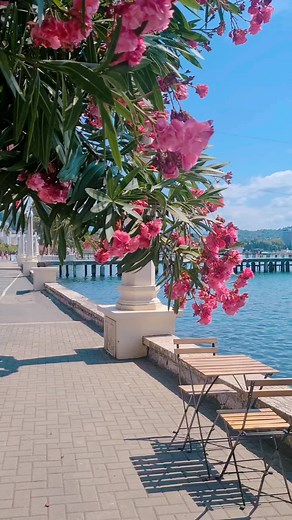 Сухум #абхвзия #сухум #город #центр#порт##abkhazia #2024 #travel