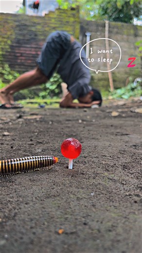 I want to dream today, and hopefully the millipedes won’t disturb my sleep #millipede