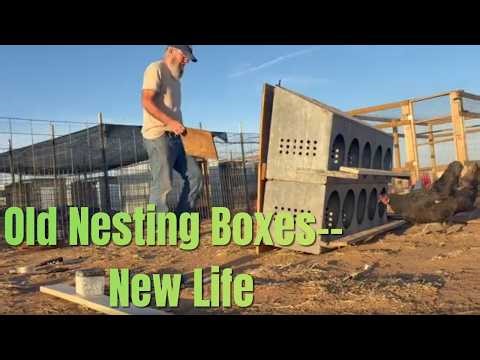 Refurbishing Old Chicken Nesting Boxes | Saving $400 on Our Homestead