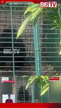 "'The mother bear will be in that area; the authorities should take note of this' #vavasuresh