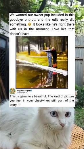 A Beautiful Memory Photo That Feels So Special