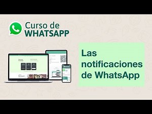 Configura las notificaciones de WhatsApp | Curso de Whatsapp