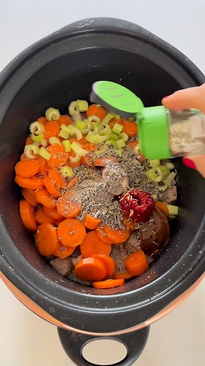 2.1M views · 1.8K reactions | Slow Cooker Beef Stew 0.5 tbsp oil 500g diced beef 1 onion, chopped 2 cloves garlic, chopped 3 carrots, chopped 2 celery sticks, chopped 200ml / 1 cup water 1 red wine or beef stock pot 2 tbsp gravy granules 1 tbsp tomato puree 1 tsp chopped fresh rosemary Cook on high for 4-5 hours or low for 7-8 hours. | My Fussy Eater | Facebook