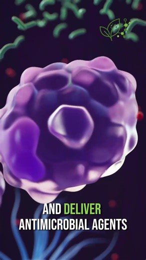 How to heal your bladder FROM THE INSIDE OUT