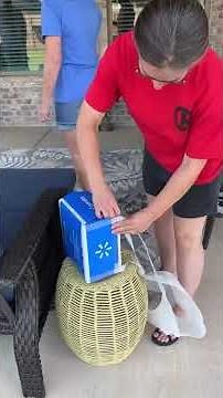 Walmart in the U.S. is officially rolling out drone delivery