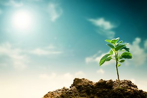 ISO 14064 – 1: TIÊU CHUẨN ÁP DỤNG CHO QUẢN LÝ KHÍ NHÀ KÍNH