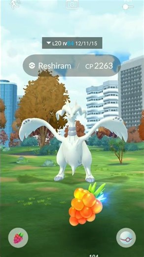 catching the legendary reshiram 😱😱 #catchlegendarypokemon #pokemon #shinypokemon #shiny #pokémon