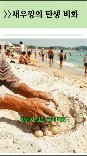 바삭한 국민 새우과자 추천