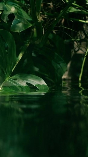 10K views | Unleash Your Vocabulary in Infinite Word Search! #iws #randomlogicgames #rlg #trending #viral #fyp | Random Logic Games | Facebook