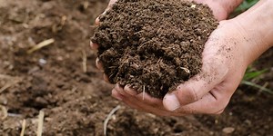 Simak, Cara Membuat Pupuk Organik Padat dengan Mudah