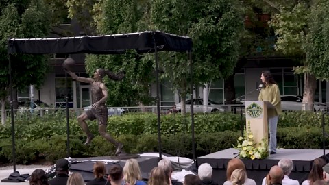 Legendary WNBA Feats That Might Never Be Surpassed