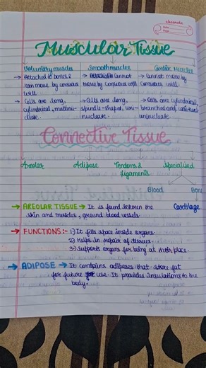 Ch -Tissues notes ✨️# class 9 # study material👩‍🏫📖 # creative notes 💗📔