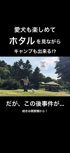 #女子ソロ #キャンプ #北海道キャンプ #アウトドア #夏キャンプ #キャンプ女子 #camp #ソロキャンプ #キャンプギア #焚き火 #テント #キャンプ飯 # #わんこ連れキャンプ