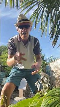 WEIRD AL YANKOVIC ( MICHEAL JACKSON ) - EAT IT #michealjackson#beatit#eatit#weirdalyankovic#parody