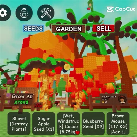 How to Grow a Big Beanstalk in Your Garden