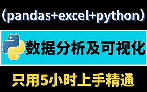 【B站全网最佳】Python数据分析教程（用pandas玩转Excel），5小时快速搞定pandas数据分析 Excel可视化！！