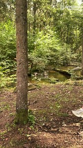 Clever Backpack Hack For Campers! | DeMilked