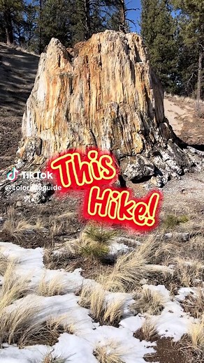 Exploring the Florissant Fossil Beds National Monument