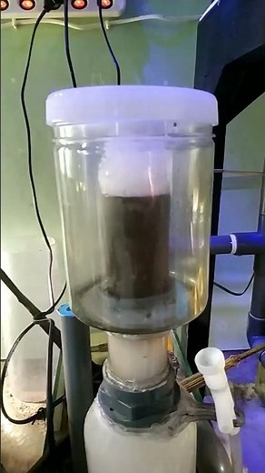 tes protein skimmer DIY