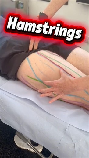 What are the 3 hamstrings? #hamstrings #muscles #anatomy ##sportsmassage