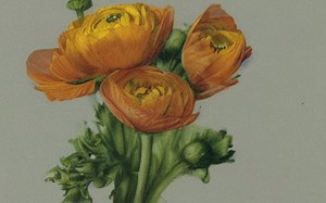 【AI动画】Prompts插值法动画初探 Stable Diffusion AI画集（72）