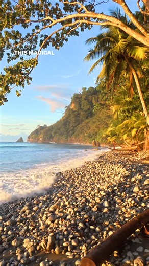 Roberto Rodriguez on Instagram: "When I say learn from nature, I don’t mean to go imitate some native ritual and then go drink macchiatos with almond milk in Starbucks — while still feeling that void in the chest — come one it’s time to get serious and honest. You can burn the whole palo santo forest, sing all the pachamama tunes and nothing will change. It’s not that hard to see — we tried it for 40,000 years! Learn from nature means using everything that happens in the natural world and our re