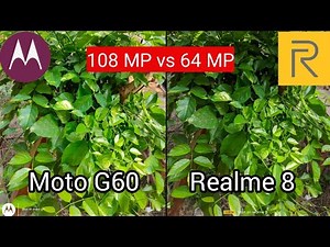 Moto G60 vs Realme 8 | Moto G60 camera test | Tech 4 camera