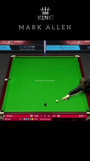 MANAGE SNOOKER on TikTok