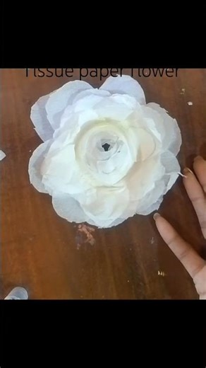How to make an aesthetic rose using tissue paper✨DIYdiy #paperflower #craftideas