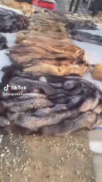 Real fur market when you have the most amazing suppliers who shop for you and can help choose the best quality pelts and fox furs for your new projects and custom pieces! Thank you 🇨🇳 #realfur #fur #furcoat #furtrade #fyp