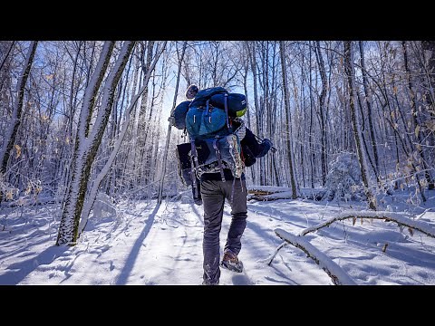 Cozy Winter Camping in a Tranquil Snowy Forest | Seneca Creek Backpacking 4K