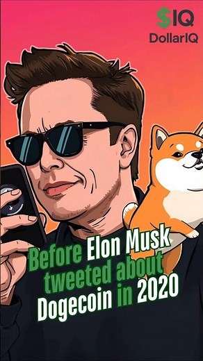 How $100 in Dogecoin Became $7,000 | Dollar IQ