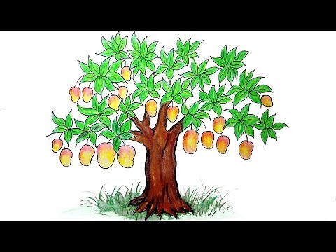 How to Draw Mango tree Very easy Drawing Mango tree