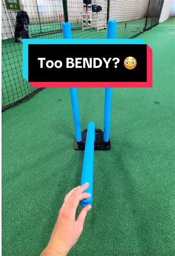 Secret Cricket Stumps That Bend: Gameplay Insights