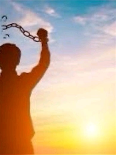 Kim Dan y Jinx: Todos los Capítulos al Detalle