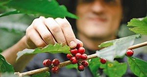 Nestlé y The Yield Lab Latam se unen por la sostenibilidad y el desarrollo de empresas